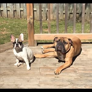 Meet your Posher, Heather